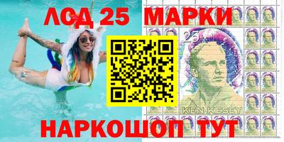 индика Шелехов