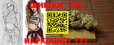 спиды Шебекино