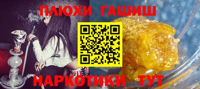 индика Шелехов