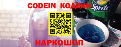 индика Шелехов