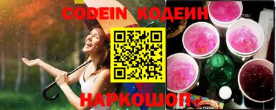 индика Шелехов